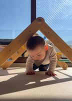 Triángulo Pikler evolutivo