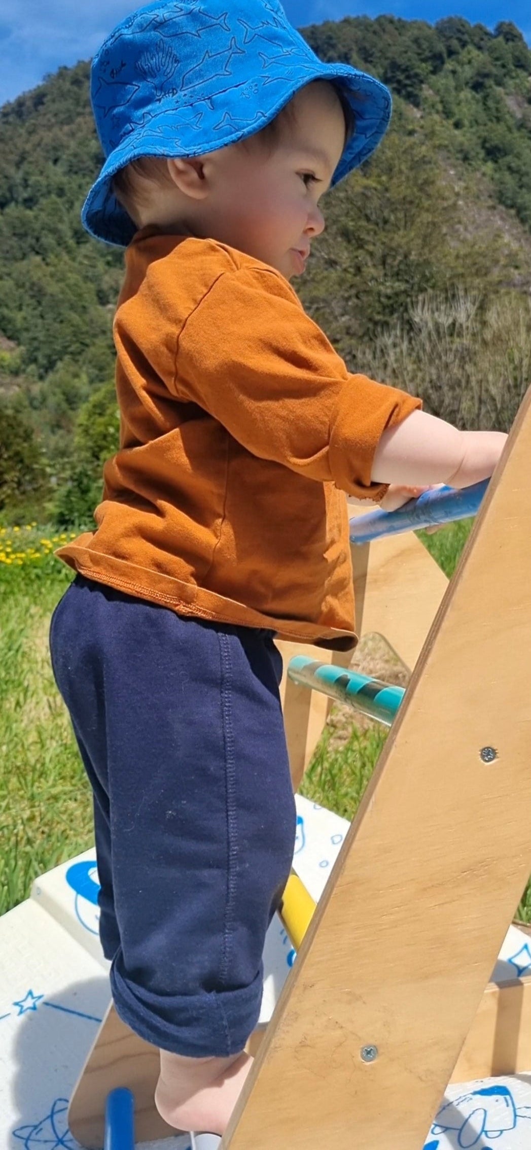 Triángulo Pikler c/rampa